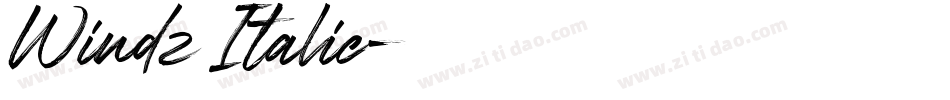 Windz Italic字体转换